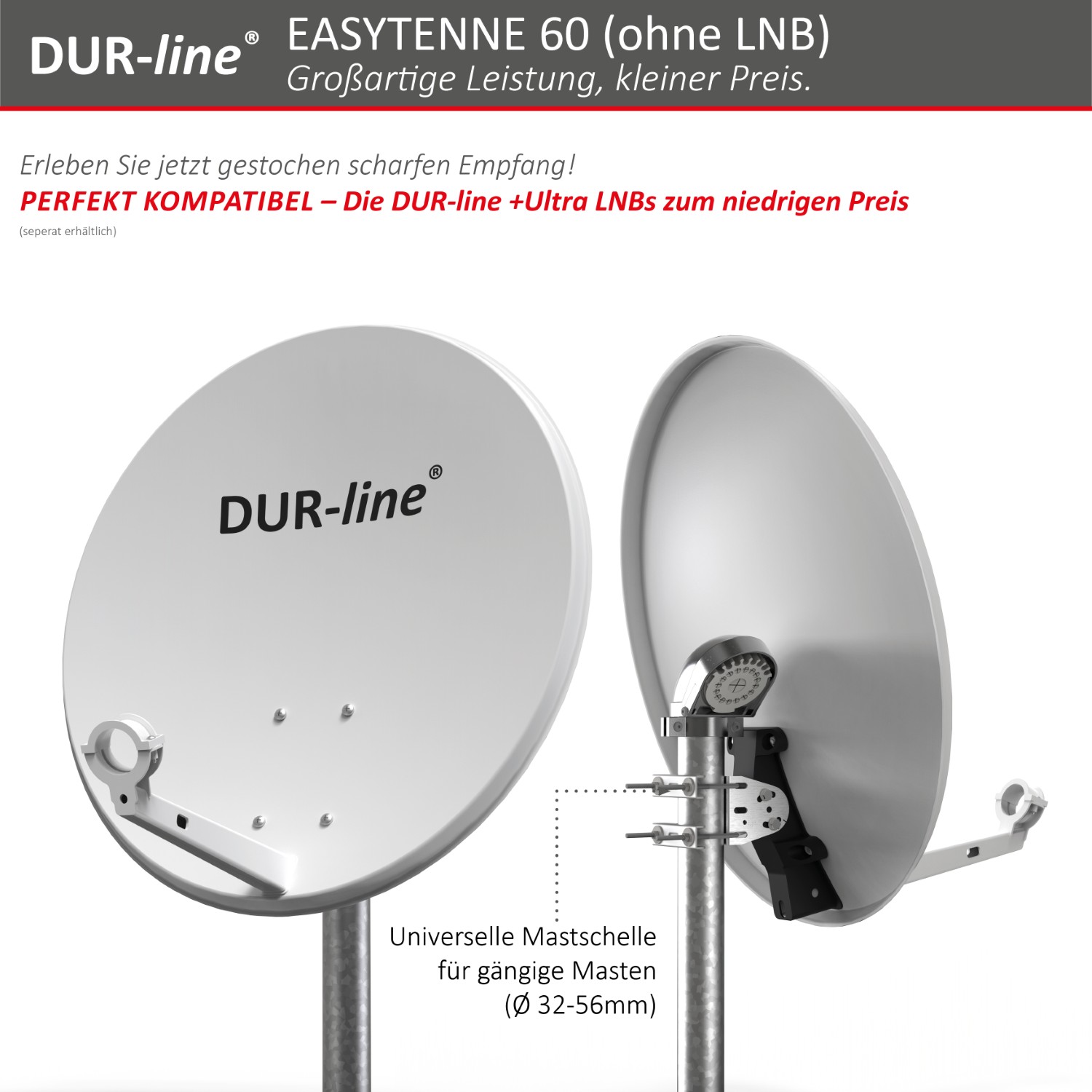 DUR-line EASYTENNE 60 Hellgrau – Mastschelle und Feedaufnahme