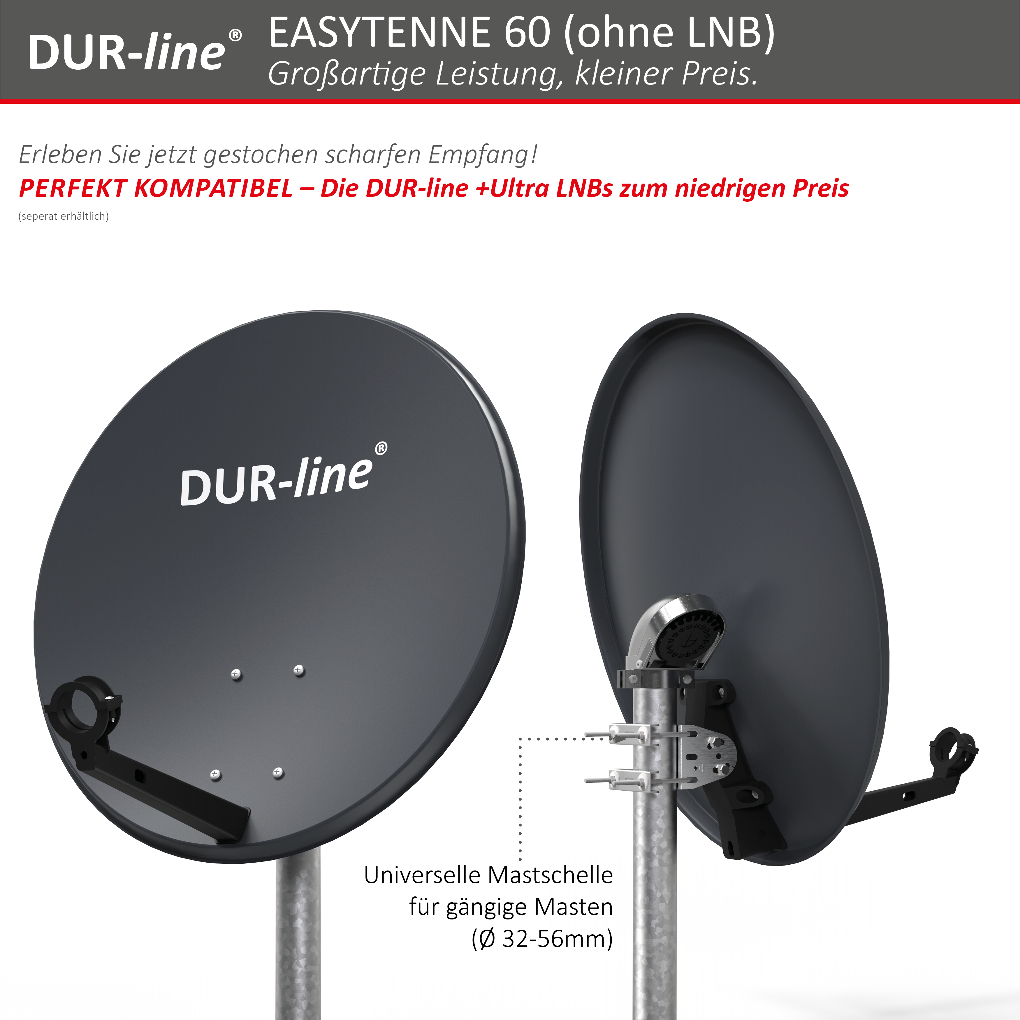 DUR-line EASYTENNE 60 Anthrazit – Mastschelle und Feedaufnahme